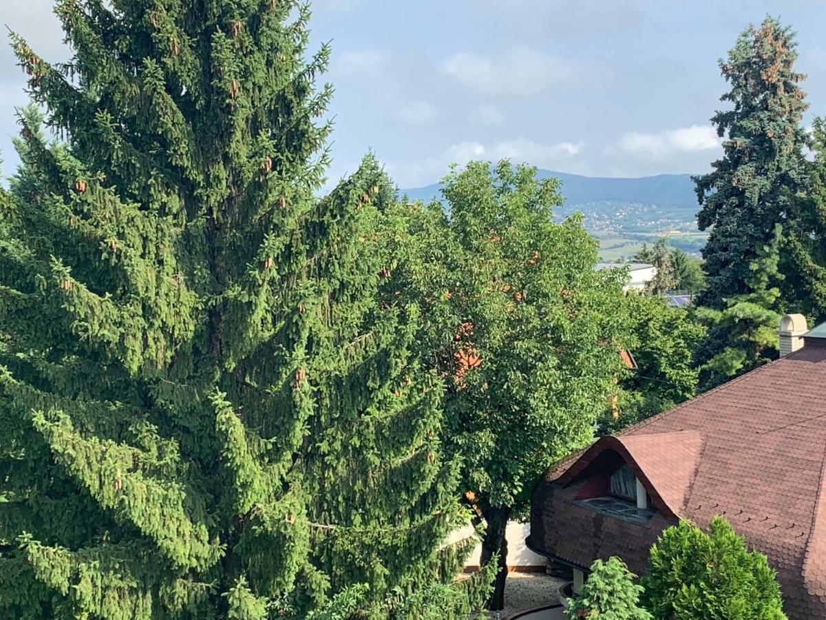 Maharaja Mountain Palace With Free Privat Parking And Garden Budapeste Exterior foto