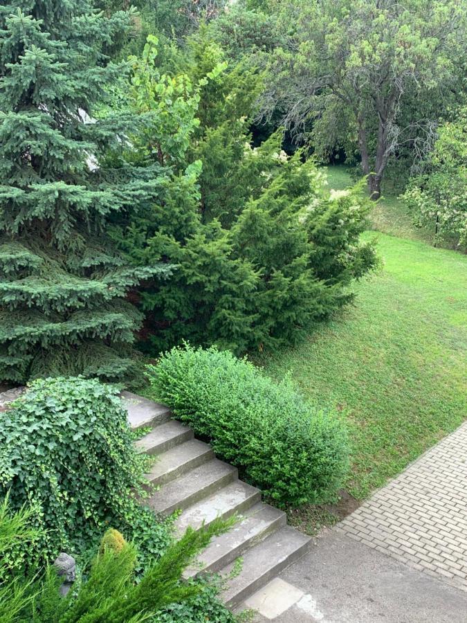 Maharaja Mountain Palace With Free Privat Parking And Garden Budapeste Exterior foto